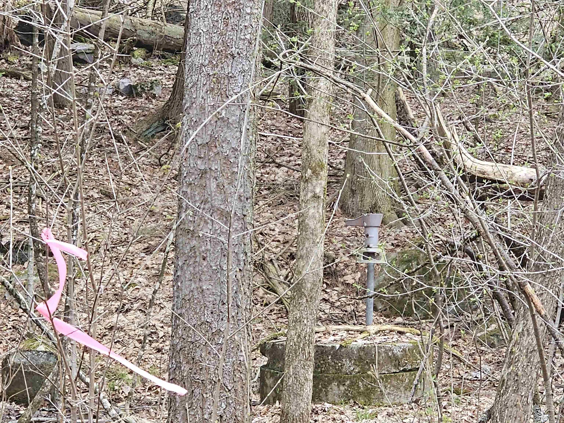 387 Weisenbach Road Monkton VT 05473