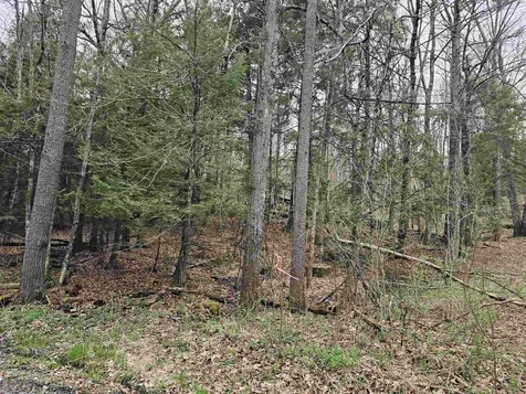 387 Weisenbach Road Monkton VT 05473