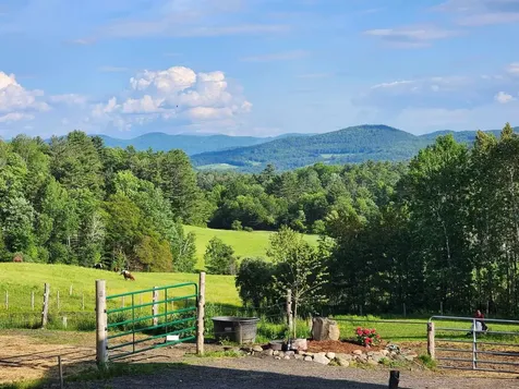 298 Butterfly Hill Danville VT 05828