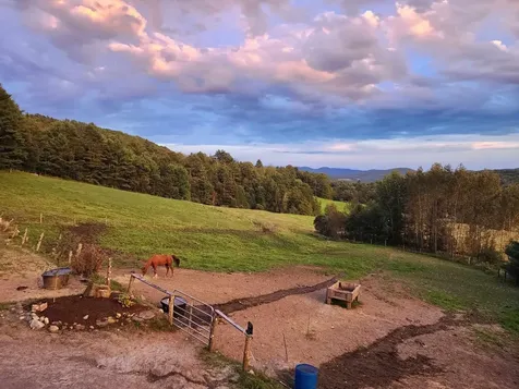 298 Butterfly Hill Danville VT 05828