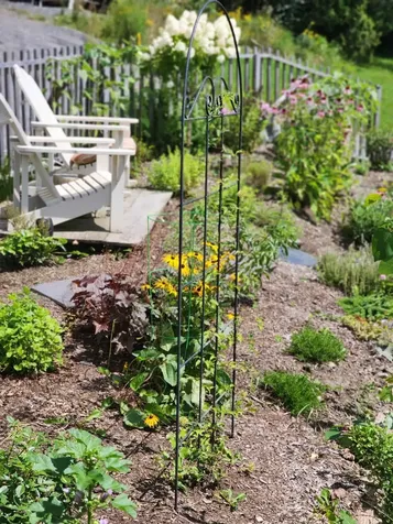 298 Butterfly Hill Danville VT 05828