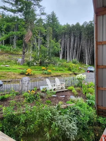 298 Butterfly Hill Danville VT 05828
