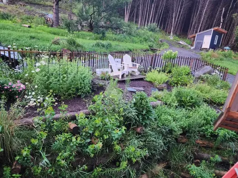 298 Butterfly Hill Danville VT 05828