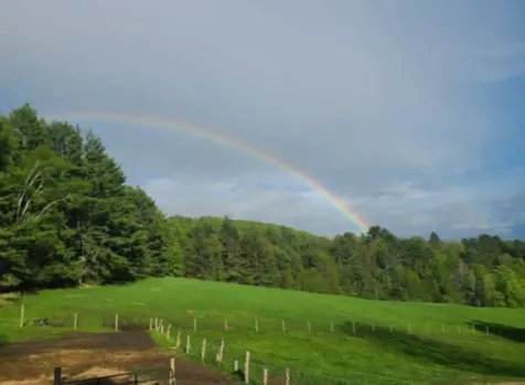 298 Butterfly Hill Danville VT 05828