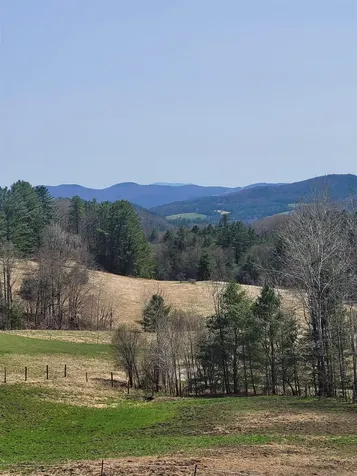 298 Butterfly Hill Danville VT 05828
