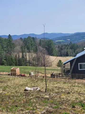 298 Butterfly Hill Danville VT 05828