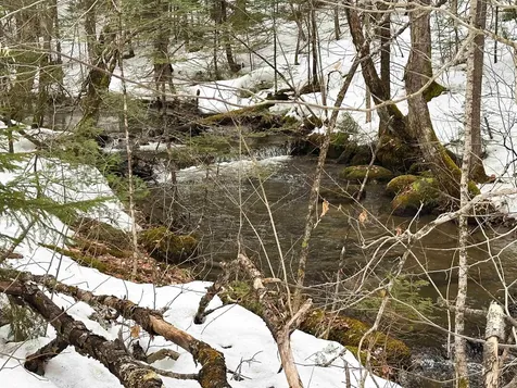 0000 Fuller Road Newbury VT 05051