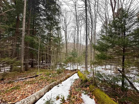 0000 Fuller Road Newbury VT 05051