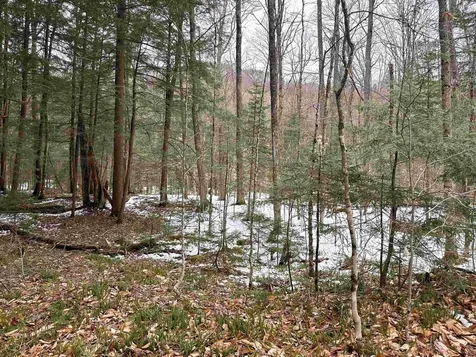 0000 Fuller Road Newbury VT 05051