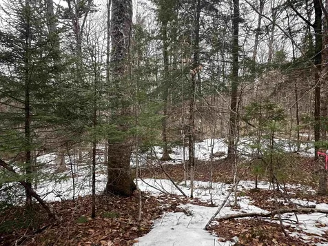 0000 Fuller Road Newbury VT 05051