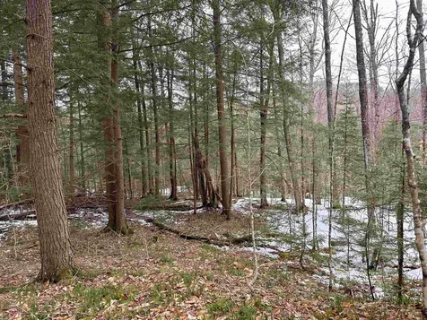 0000 Fuller Road Newbury VT 05051