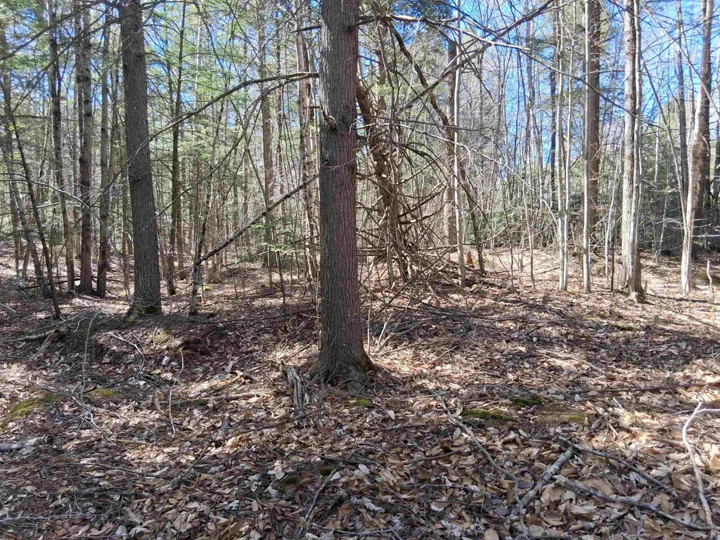 Lot 332 Nicola Road Middleton NH 03887