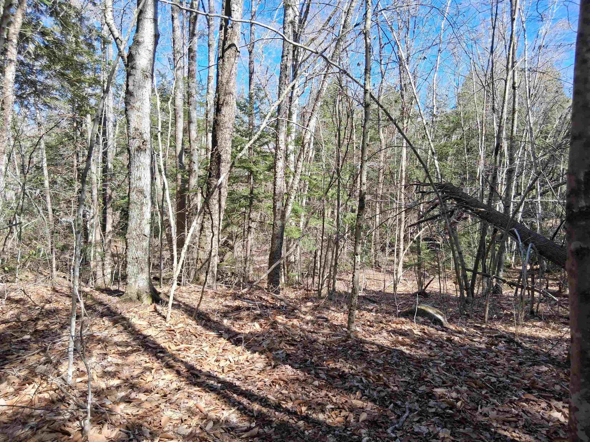 Lot 332 Nicola Road Middleton NH 03887