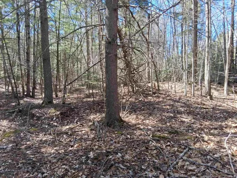 Lot 332 Nicola Road Middleton NH 03887