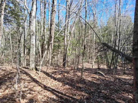 Lot 332 Nicola Road Middleton NH 03887