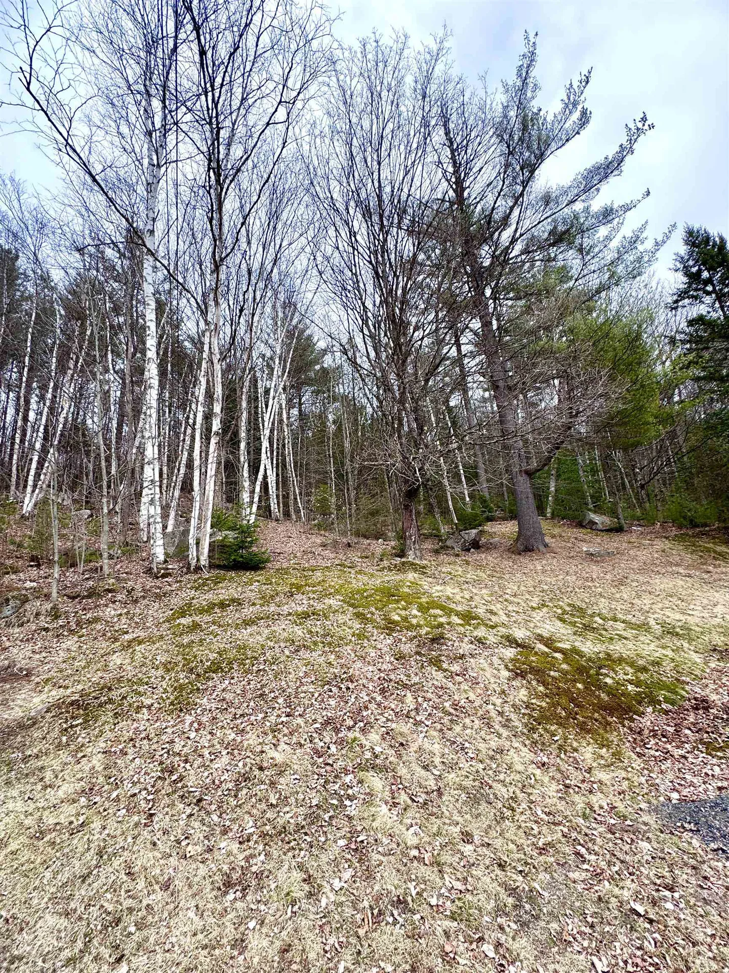 238 Northside Road Stark NH 03582