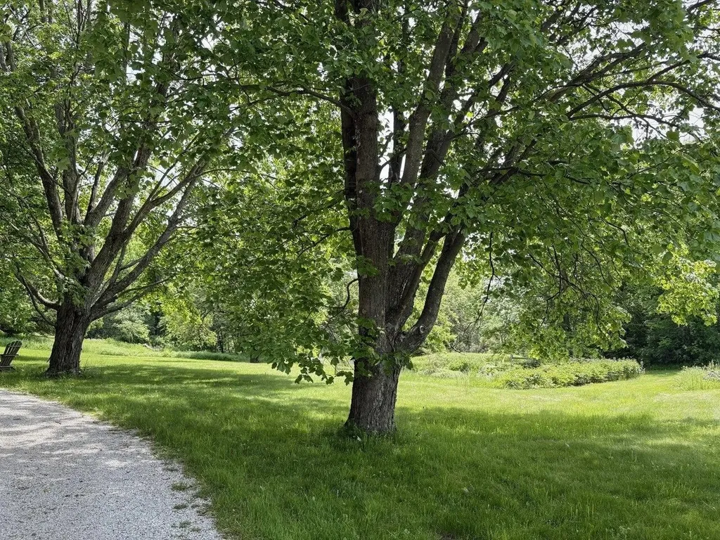 4367 St. George Road Williston VT 05495