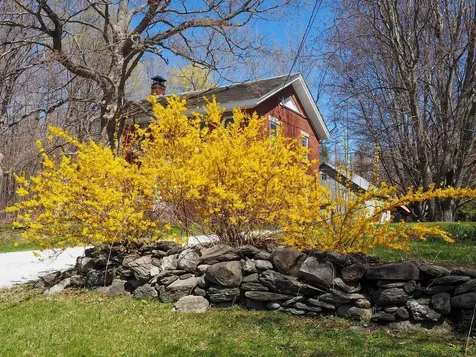 4367 St. George Road Williston VT 05495