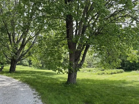 4367 St. George Road Williston VT 05495