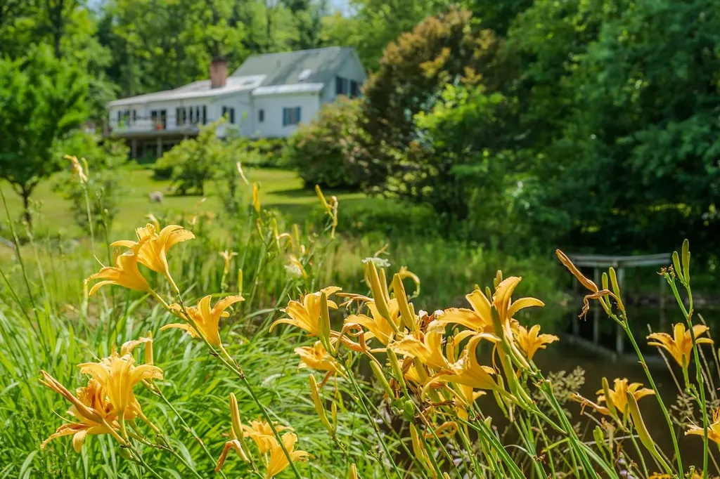 19 Grimes Hill Road Newfane VT 05345