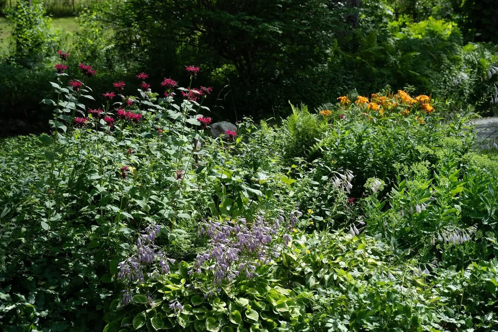 19 Grimes Hill Road Newfane VT 05345