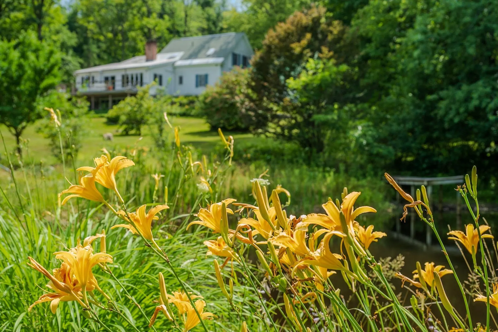 19 Grimes Hill Road Newfane VT 05345