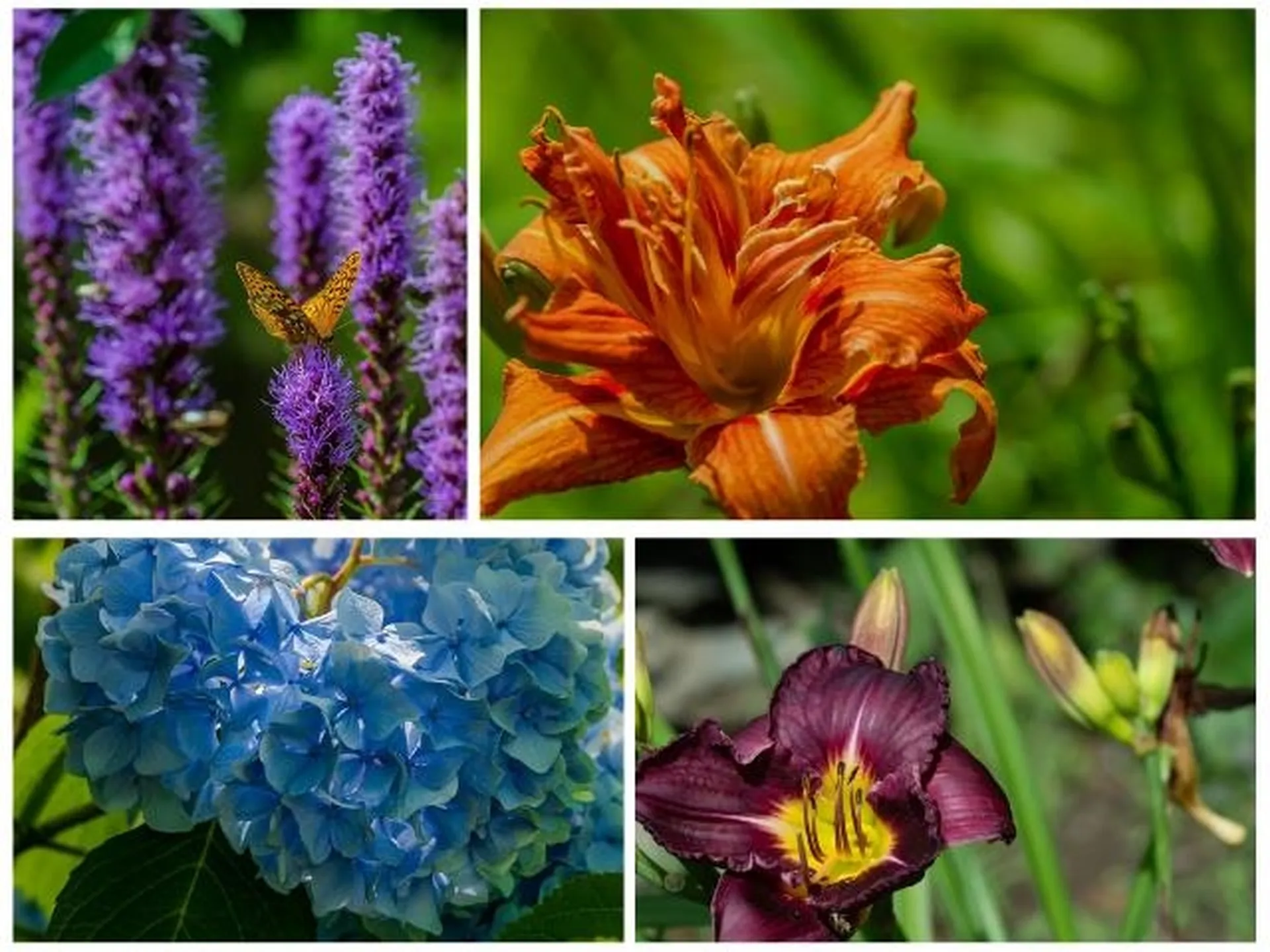 19 Grimes Hill Road Newfane VT 05345