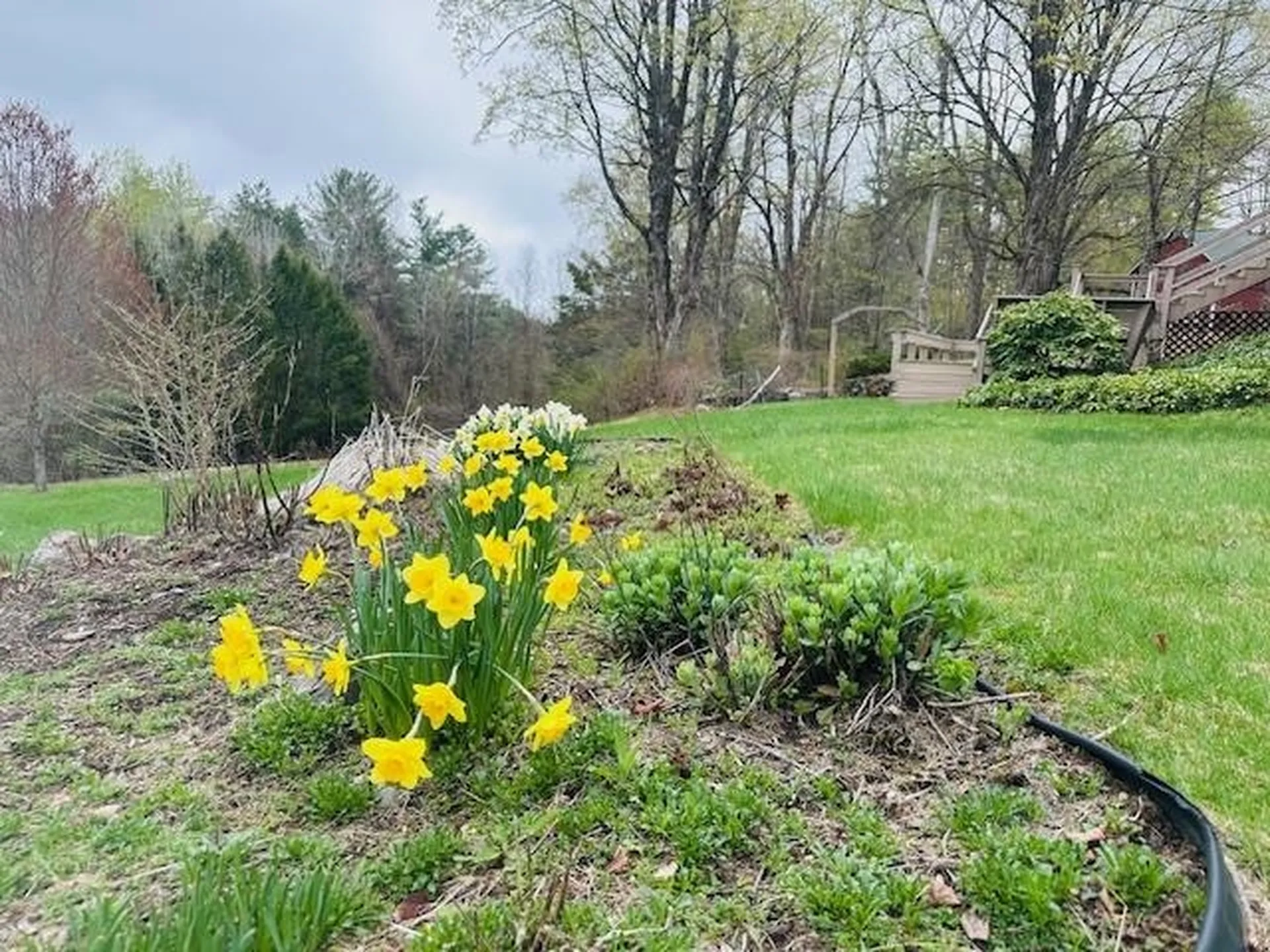 19 Grimes Hill Road Newfane VT 05345