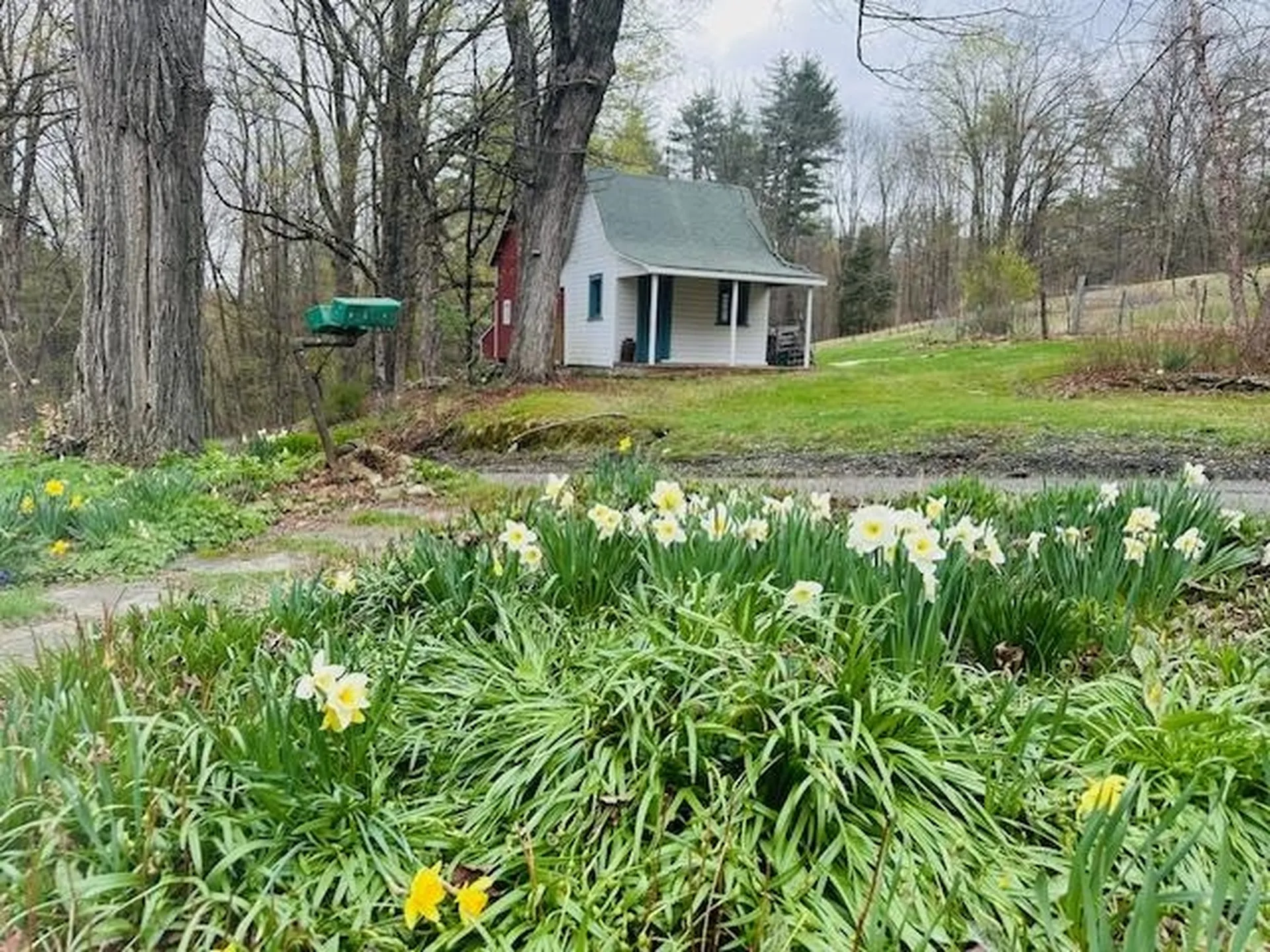 19 Grimes Hill Road Newfane VT 05345