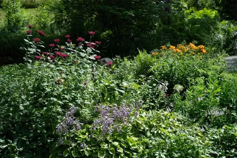 19 Grimes Hill Road Newfane VT 05345