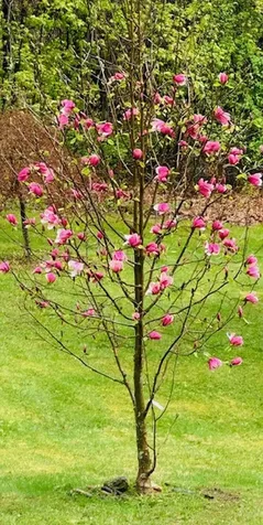 19 Grimes Hill Road Newfane VT 05345