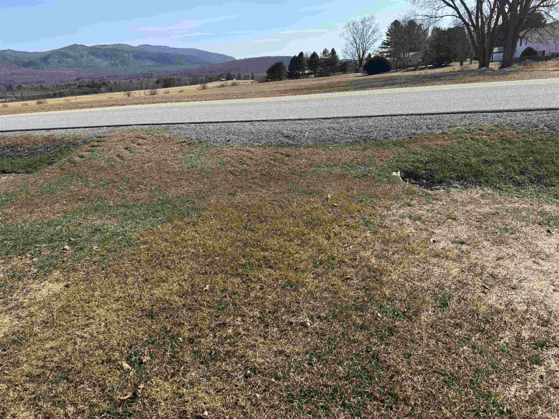 795b Lower Foote Street Middlebury VT 05753