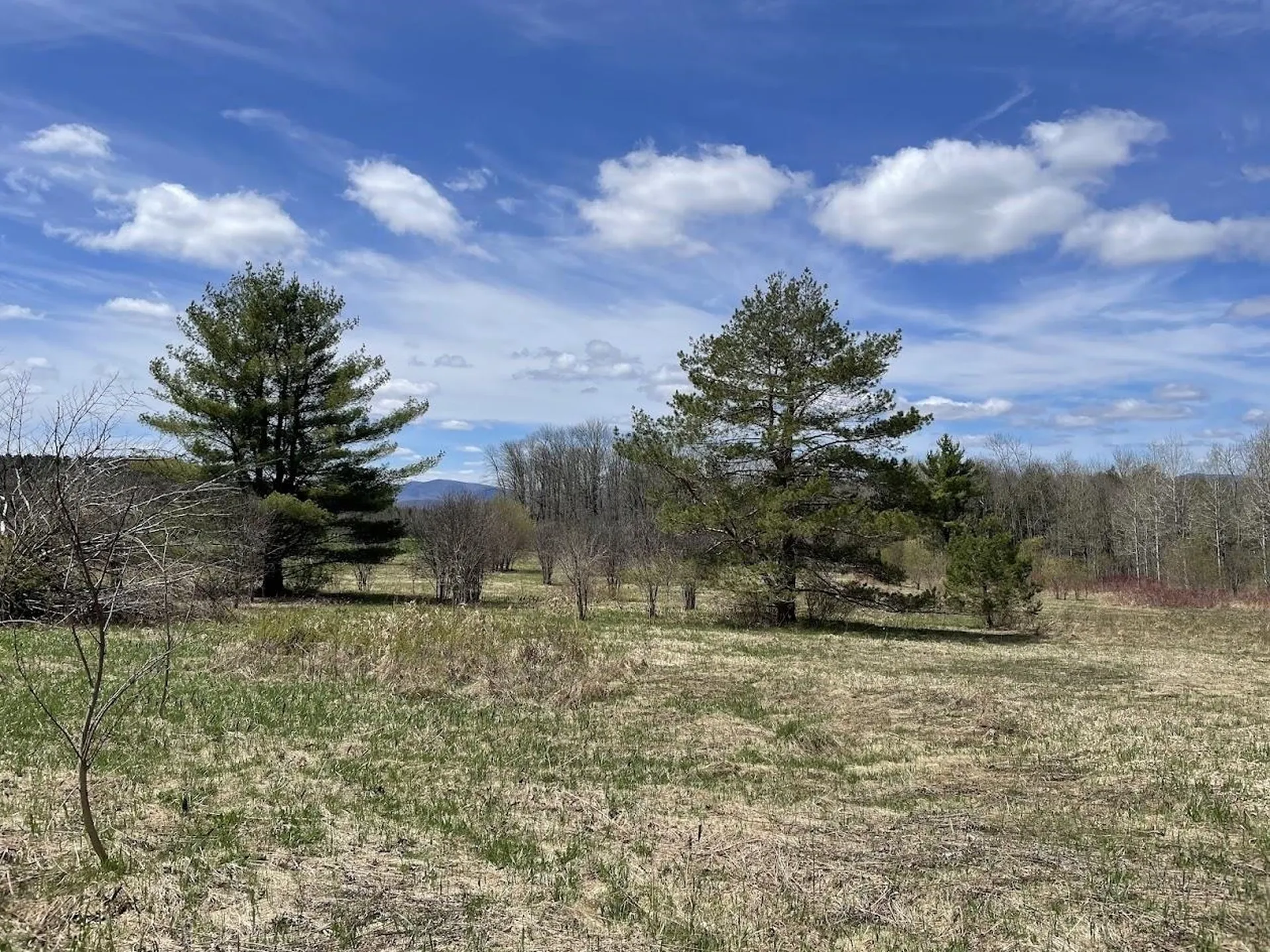 3347 Vermont Route 66 Randolph VT 05061