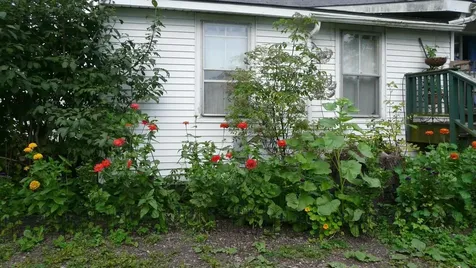 3347 Vermont Route 66 Randolph VT 05061