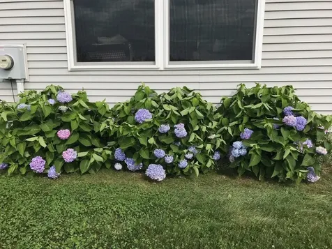 91 Doe Meadow Road Monkton VT 05469