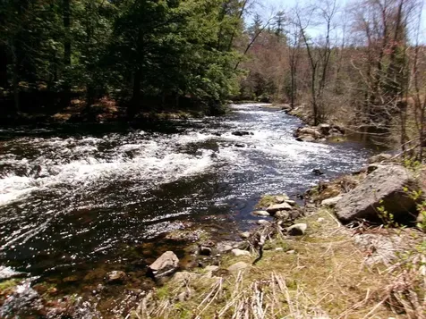 Aspen Lane Danbury NH 03230