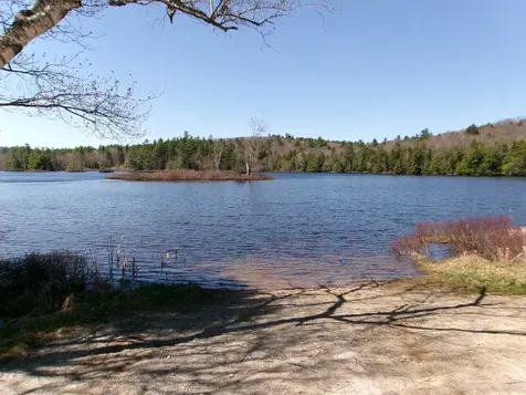 Aspen Lane Danbury NH 03230