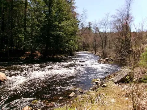 Aspen Lane Danbury NH 03230