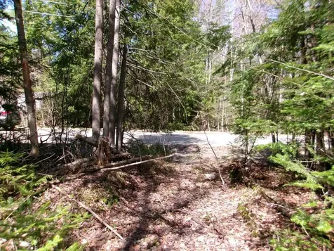 Aspen Lane Danbury NH 03230