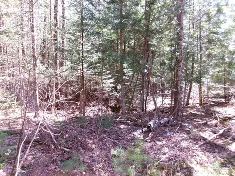 Aspen Lane Danbury NH 03230