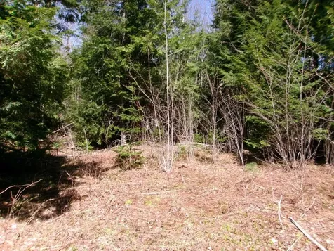 Aspen Lane Danbury NH 03230