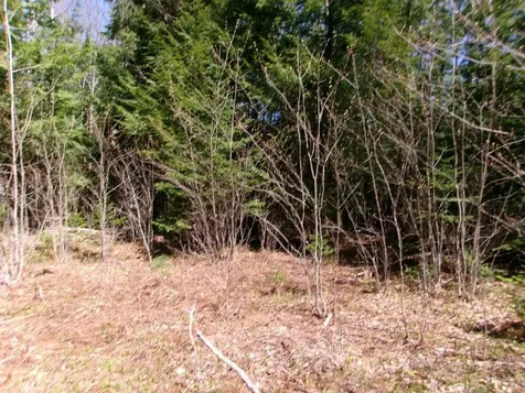 Aspen Lane Danbury NH 03230