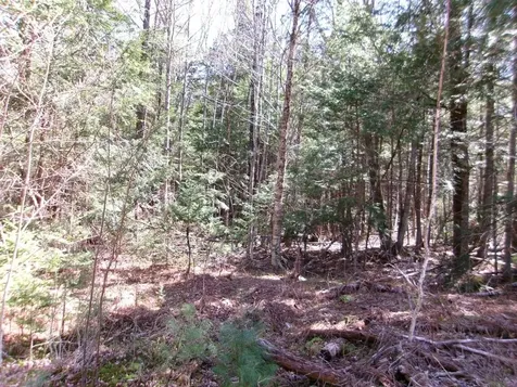 Aspen Lane Danbury NH 03230