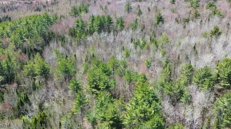 0 Twin Mountain Road Whitefield NH 03598