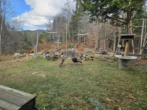 856 New Hampshire Route 119 W Fitzwilliam NH 03447