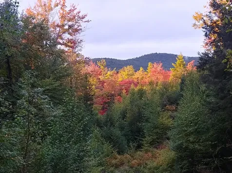 856 New Hampshire Route 119 W Fitzwilliam NH 03447