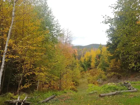 856 New Hampshire Route 119 W Fitzwilliam NH 03447