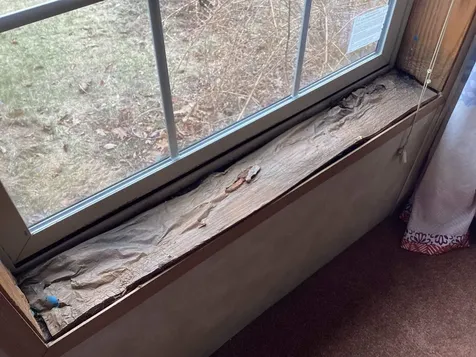 3 Finch Street Keene NH 03431