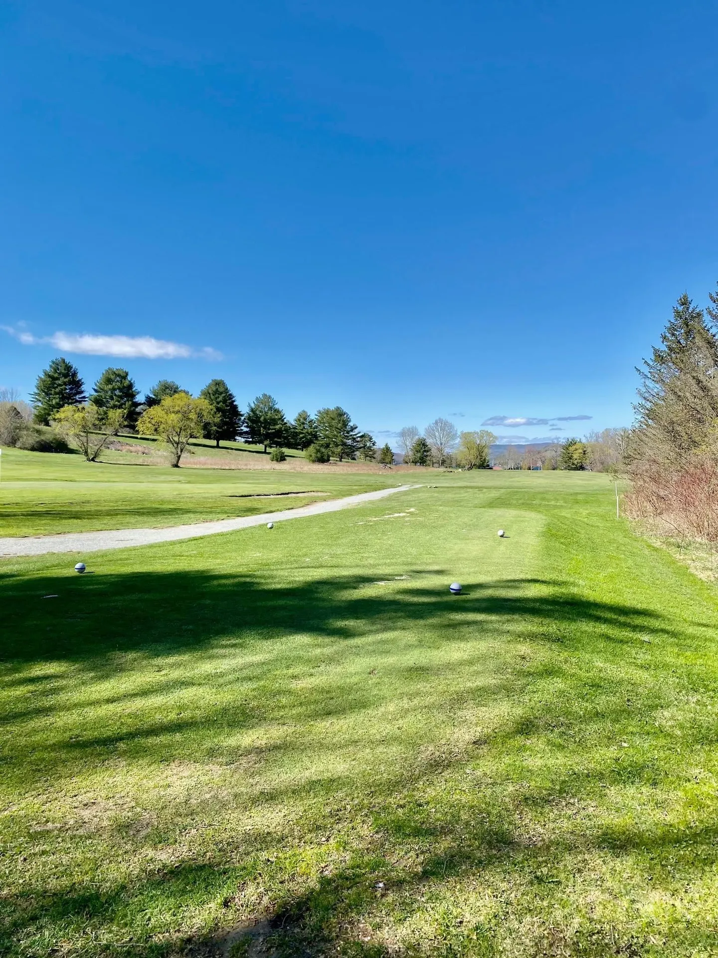 111 Prospect Point Road Castleton VT 05735