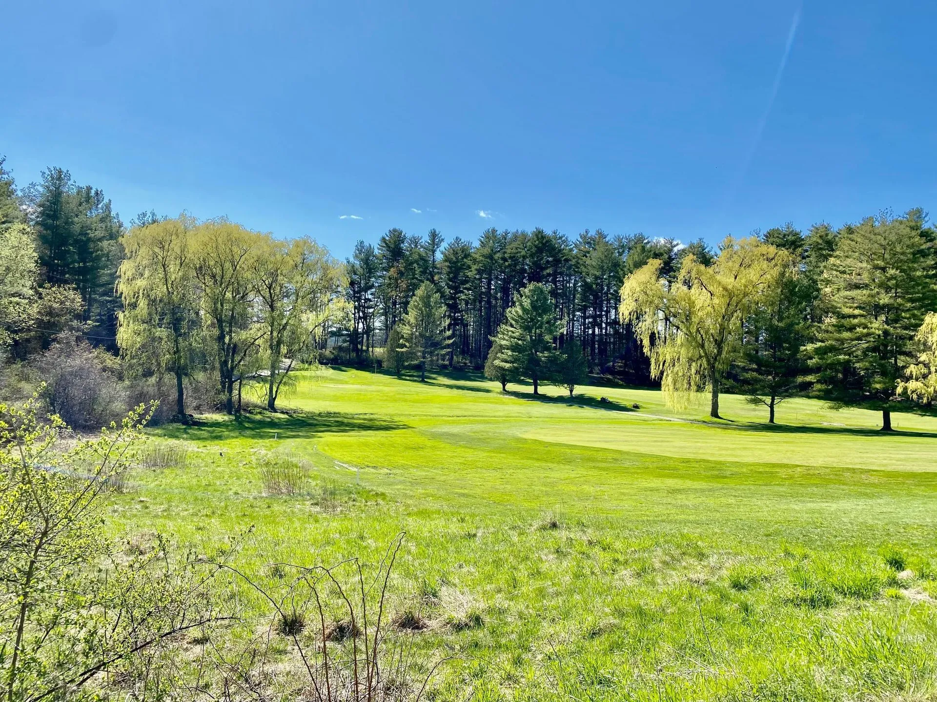 111 Prospect Point Road Castleton VT 05735